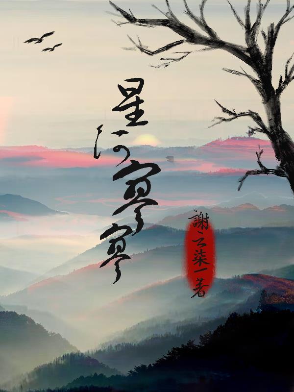 寥寥星河梦