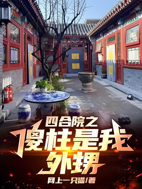 四合院之傻柱小舅
