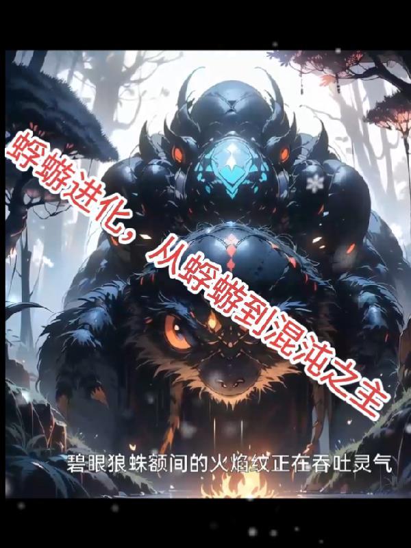 蜉蝣杂谈